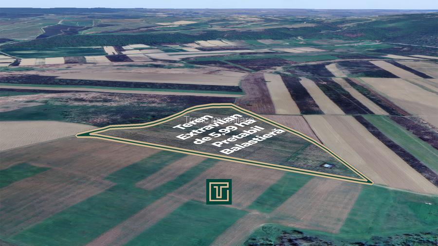 Teren extravilan de 5,99 ha la 200 m de Mureș, ideal pentru balastieră în Ususău - 3