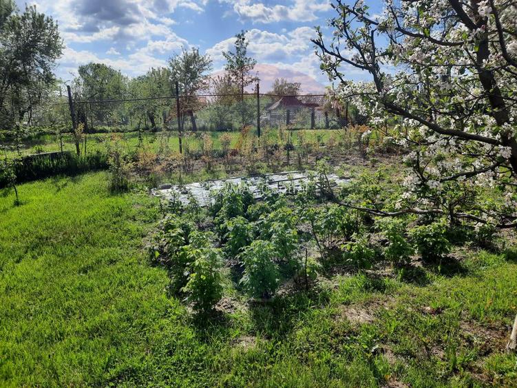 Casă langa Fagaras cu teren de 1836mp si parau in spatele curtii - 7
