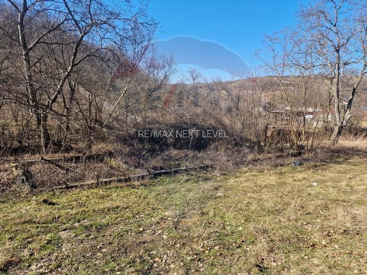 Teren de Vânzare în Pâncești (Sascut) - 3