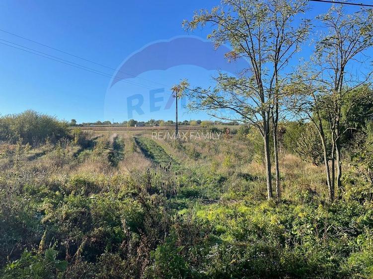 Teren 2.341 mp Uileacu de Munte front 26 ml la drum asfaltat - 2