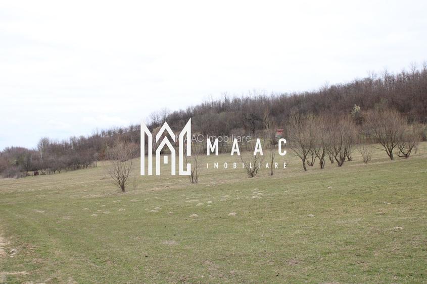 Pământ I Fereastră către Eternitate în  Transilvania - 10