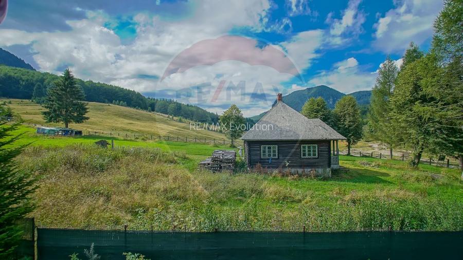 Pensiune Raw Nature, Vama Buzăului - 31