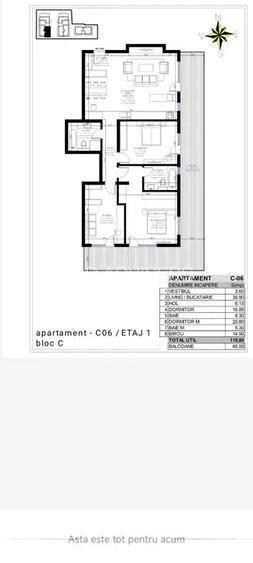 Apartament generos 4 camere + terasă, Erou Iancu Nicolae - 11