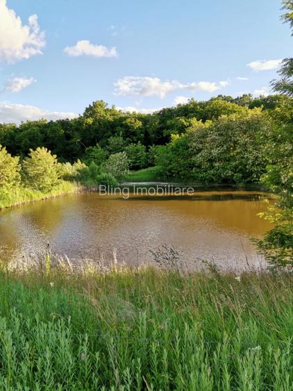 Ferma Zootehnica la standarde Europene - 4