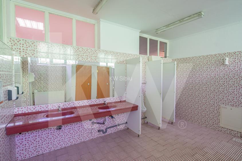 Hală industrială depozitare productie 826mp Sebeș - 5