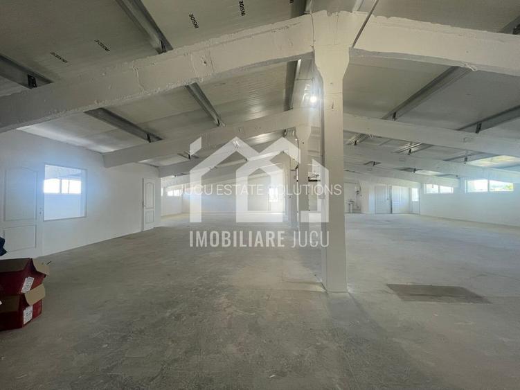 De închiriat: Hală de depozitare și producție în Jucu de Mijloc - 7