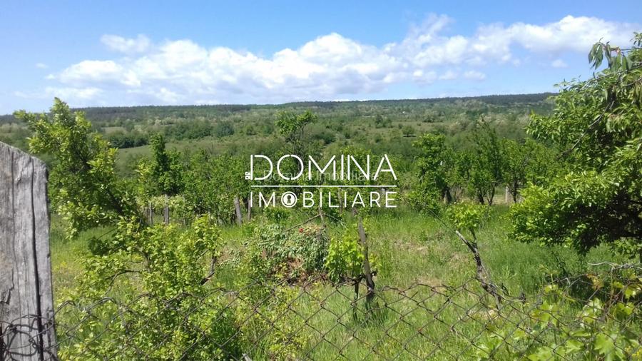 Vanzare casa cu teren generos, locatie deosebita,  în Musetesti, Gorj - 8