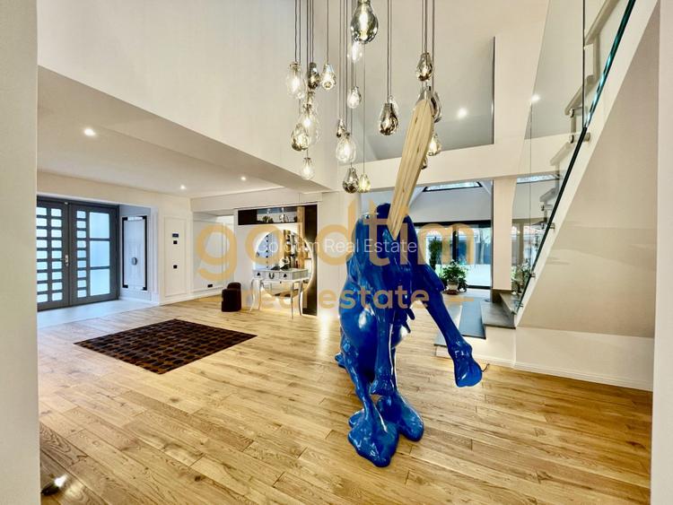 UNICA/ABSOLUT SUPERBA/ VILA INDIVIDUALA/IANCU NICOLAE/CURTE GENEROASA - 39