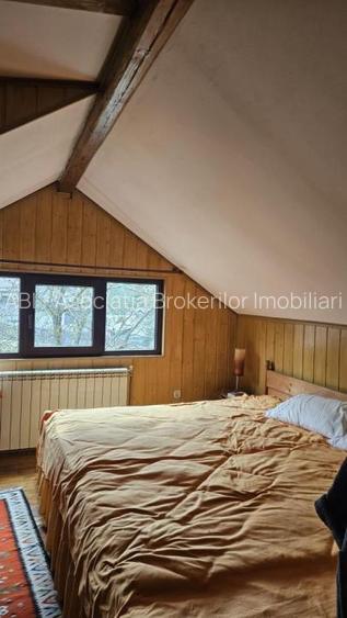 Vila Busteni vedere exceptionala! - 18