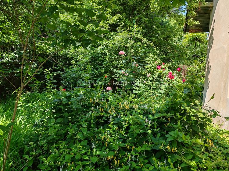 Casa 6 camere libera la vanzare zona Bartolomeu - 28