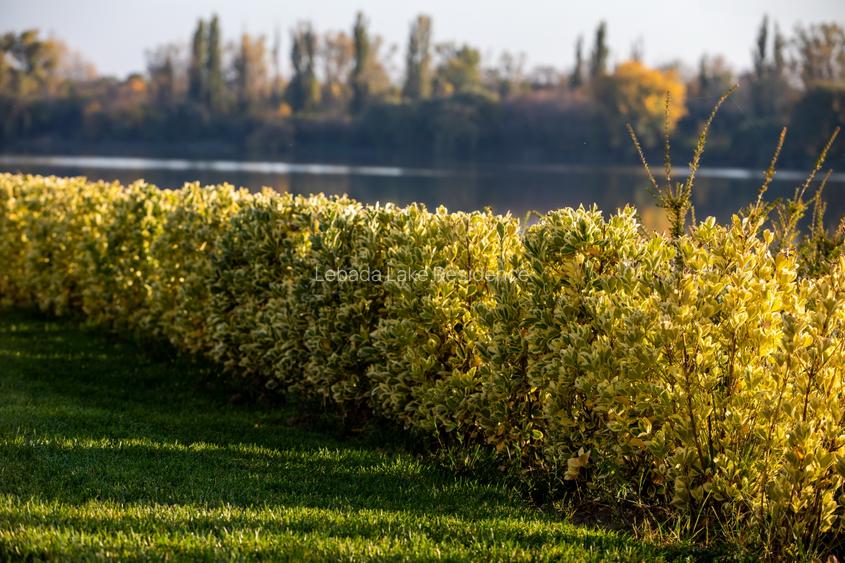 Apartament 2 camere - 25 mp terasa - Lebada Lake Residence - 7