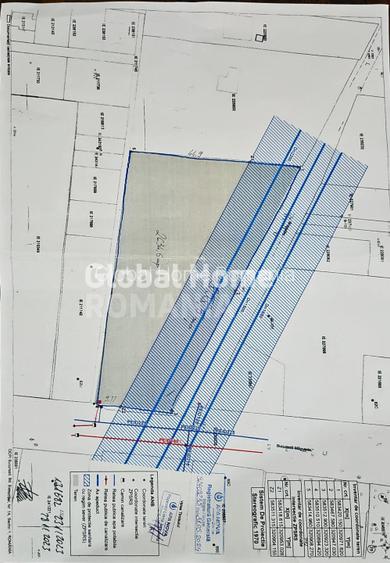 Proiect Comercial | Teren Intravilan 4.493 mp – Dubla Deschidere | Magurele - 7