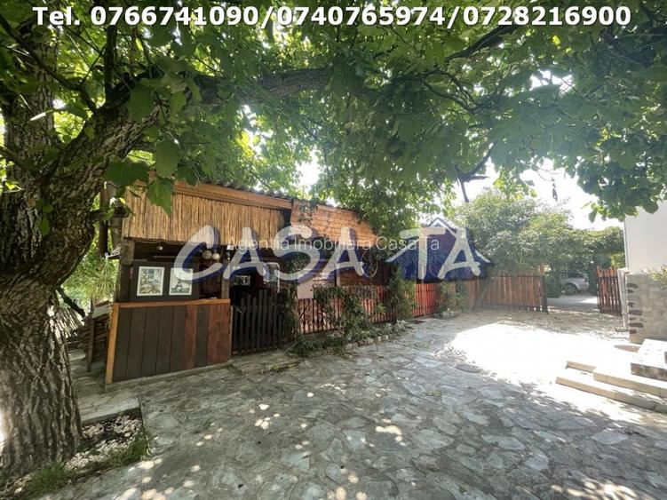 Proprietate Exclusivista situata in Lelesti , Gorj - 12