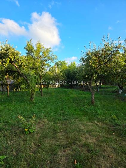 Teren 2500 mp – POTENȚIAL BUSINESS / DEZVOLTARE – Breaza - 7