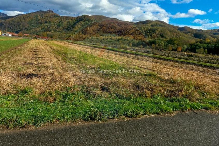 Teren extravilan Petros /  Baru ,jud Hunedoara - 3