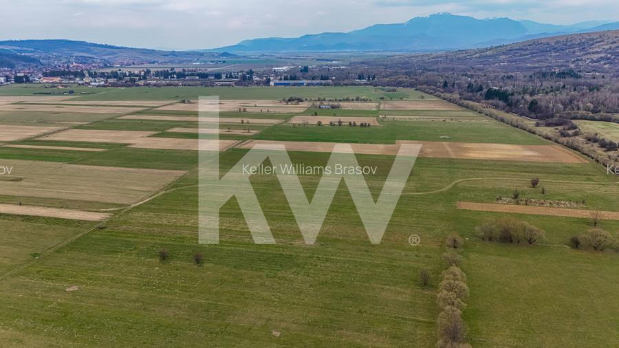 Oportunitate de investitie în Zarnesti I Teren intravilan 8557 mp - 9