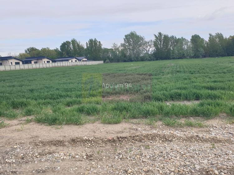 Teren ideal dezvoltare imobiliară în Măgurele strada Atmosferei - 24