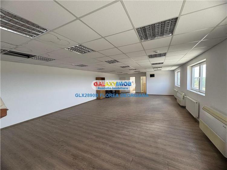 Vanzare spatiu industrial Crevedia - 13