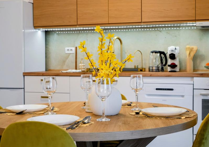 Duplex Lux in apropiere de Parcul Carol, parcare inclusa, proprietar - 3
