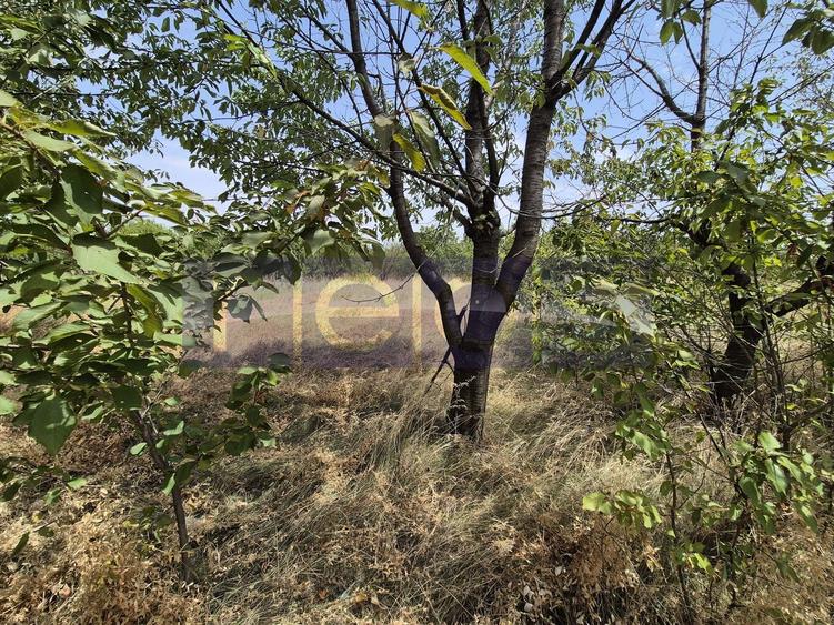 De vanzare teren industrial in Calarasi/Belciugatele - 12