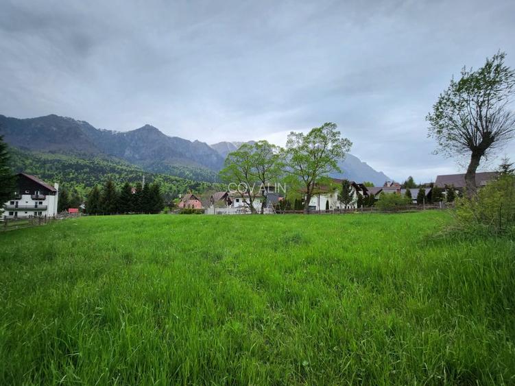 Teren 2.675 mp in Poiana Tapului priveliste peisagistică spre munții Bucegi! - 3