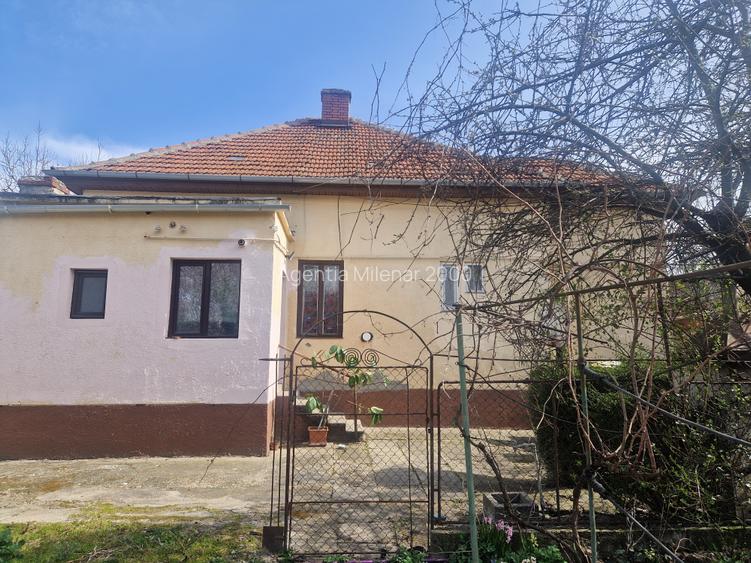 Situata pe frumoasa strada Maslinului in zona Blascovici, - 11