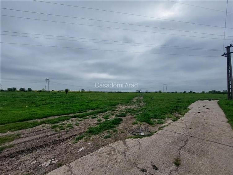 Teren intravilan cu potential multiplu! - 12