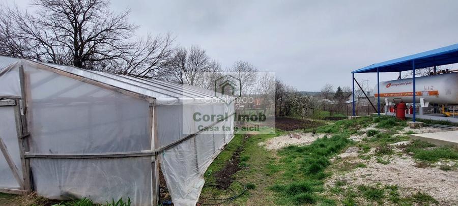 OPORTUNITATE Afacere la Cheie – Stație GPL Auto  Ghimpati, Giurgiu - 7