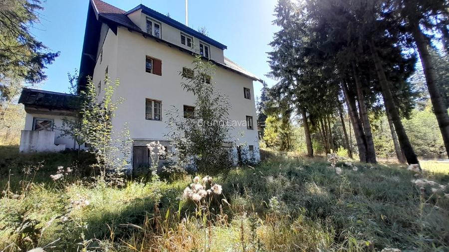 Pensiune in stilul arhitectural al cabanelor austriece, 5000 mp, teren - 3