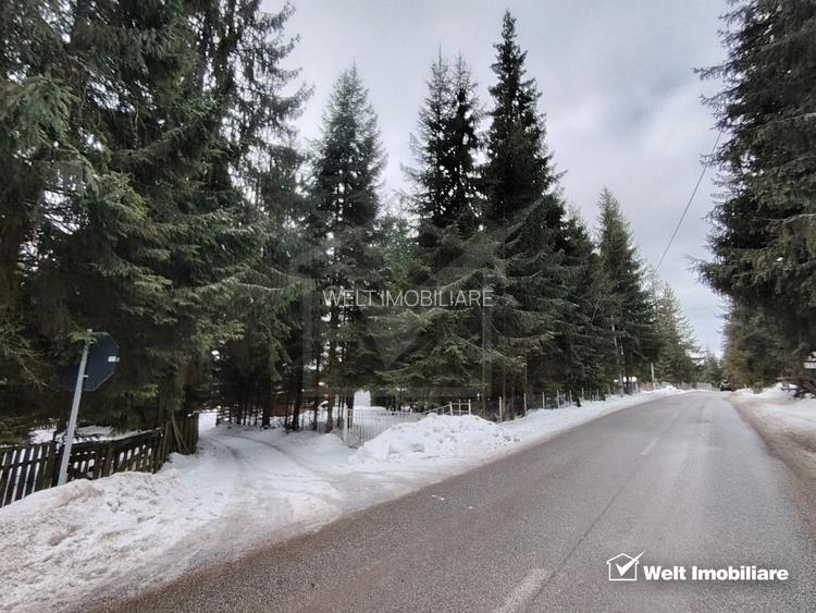 Cabana din lemn moderna, locatie de vis intre brazi – Marisel, Apuseni - 21