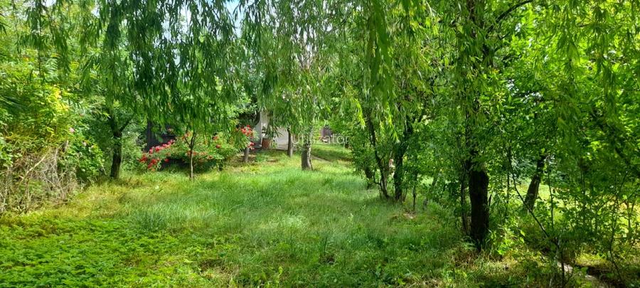 Casa de vanzare sat Manastioara, com. Fitionesti, jud. Vrancea,  - 4