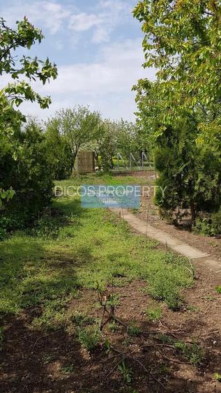 Teren 2.600 mp, utilități, Str. Merișor – Giurgiu - 13