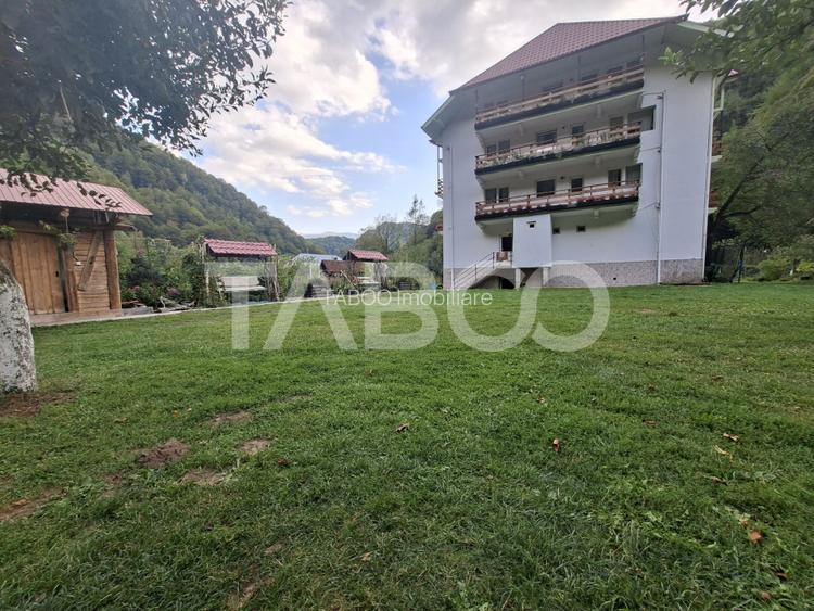 Spatiu de vanzare in Valea Macesului judel Valcea iesire la Lotru - 30