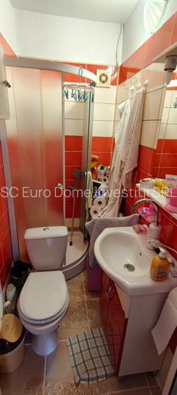 Proprietate cu 3 corpuri in zona Gradina Zoo - Parc Noua - 11