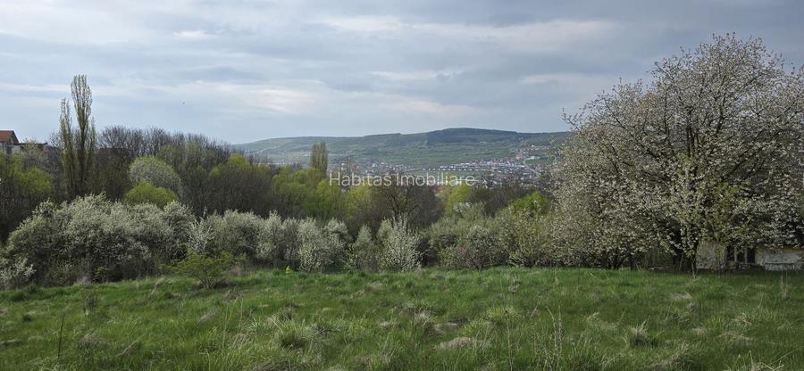 Teren cu vedere panoramica de vânzare în Chinteni - 2