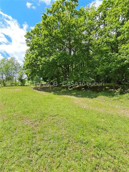 teren 550 mp de vanzare in Tocile - 7