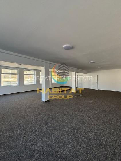 Hală industrială cu poduri rulante și putere 1,8 MW – 2400 mp | Popești-Leordeni - 13