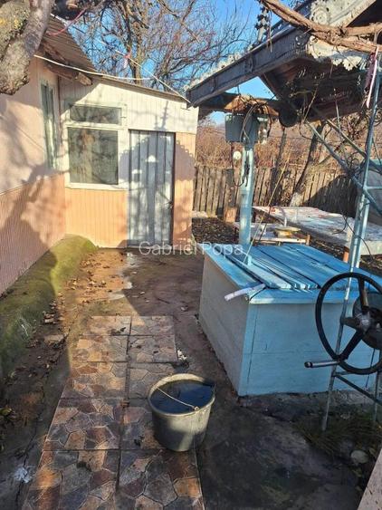 Casa de vanzare in Horga, comuna Epureni - 7