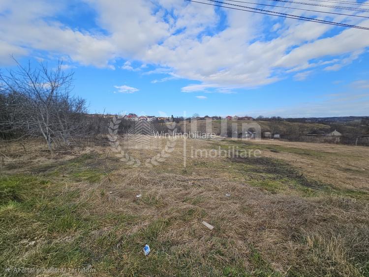 Teren intravilan 4087mp | 34 m front | Dambul Rotund | Zona Lombului - 2