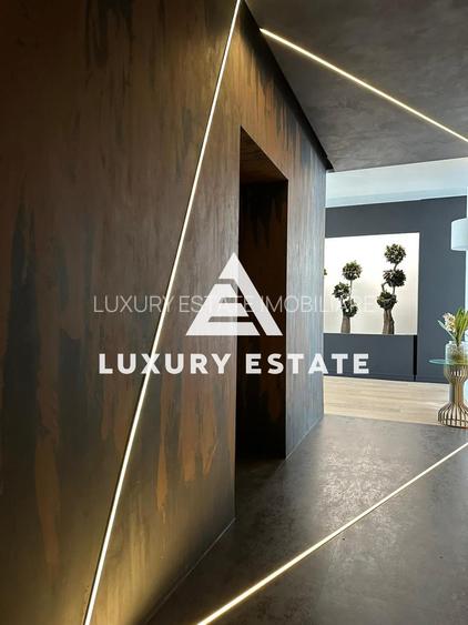 Inchiriere penthouse mobilat- Herastrau- Baneasa- design unic-view spectaculos - 44