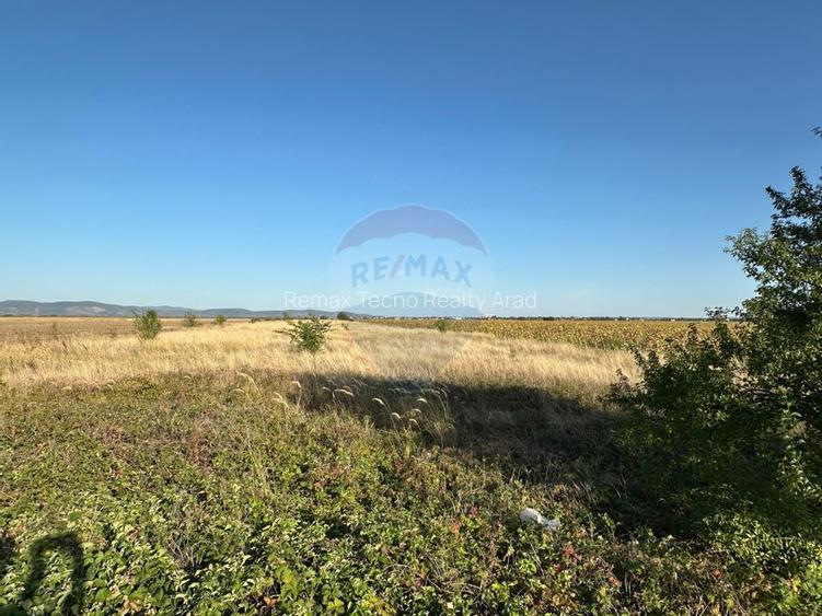 Teren extravilan de vanzare - 19.963 mp, E68 Mandruloc-Vladimirescu - 7