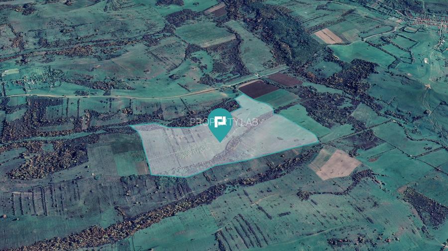 Teren arabil de 87 hectare în Bara, Timiș - 7