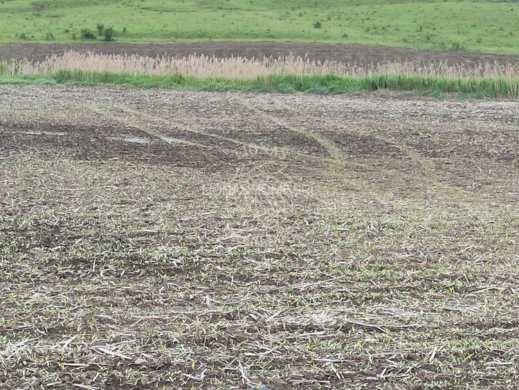 Teren intravilan 1800 mp cu utilitati-ideal casa P+2E-Sarata - 2