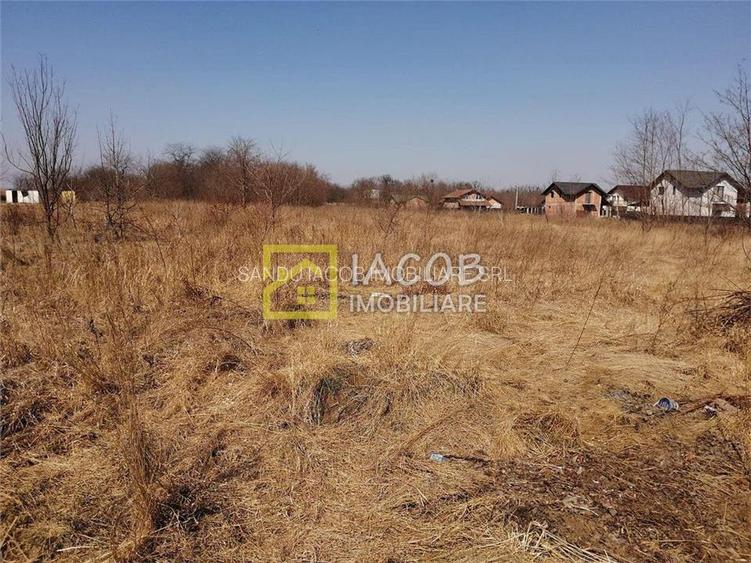 Teren 6208 mp Bacau / Strada 2 Stejari - 6