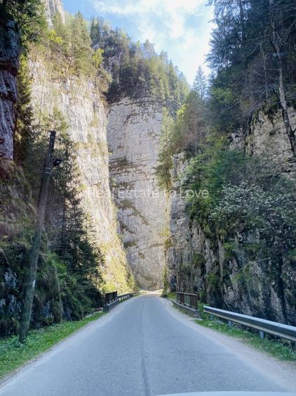 Teren panoramic insorit, utilitati, panta mica si padure, turism sau vacanta - 11