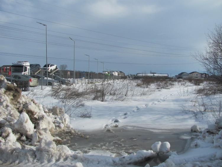 Clinceni - Olteni, Fortului, Stradal 5180 mp - 4