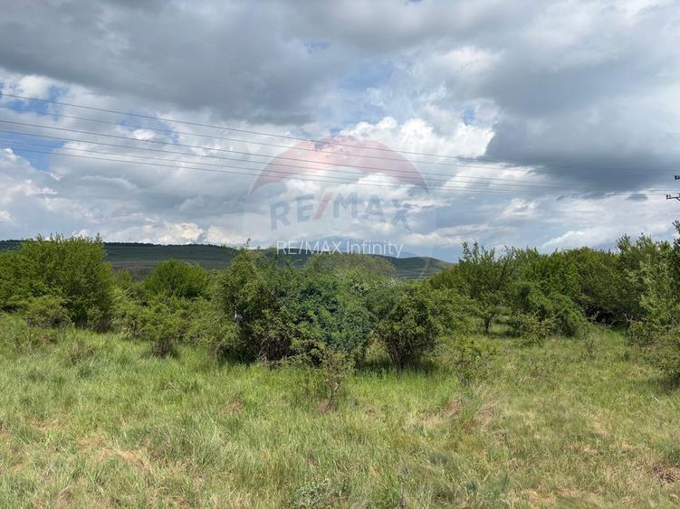 Teren de vanzare 13783mp, front la DN, parcela unica zona de vest - 9
