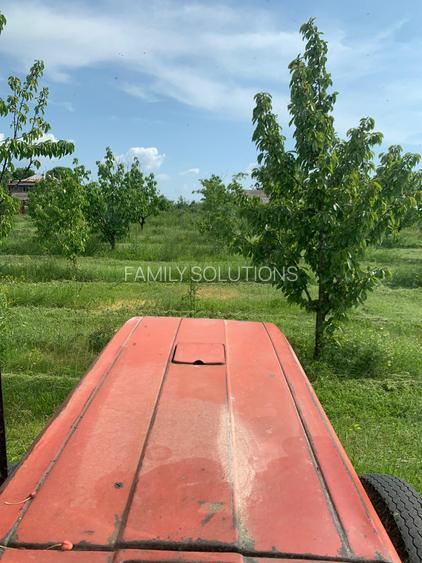 De Vânzare – Fermă de Pomi Fructiferi, 48,8 ha, Iancu Jianu, Jud. Olt - 19