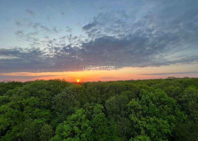 2 camere | Greenfield | Baneasa | Pipera | parcare inclusa - 19