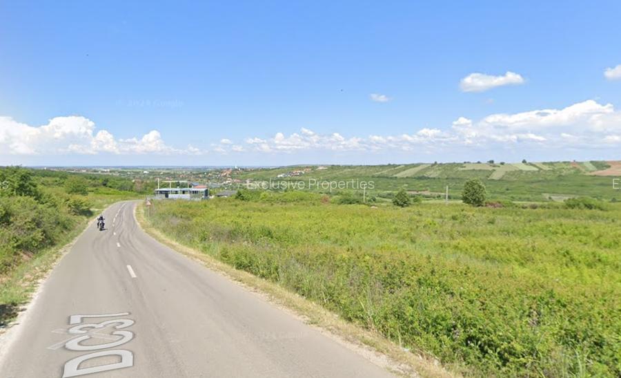 Teren de vanzare in Paleu - Saldabagiu la asfalt, gaze si electricitate - 2